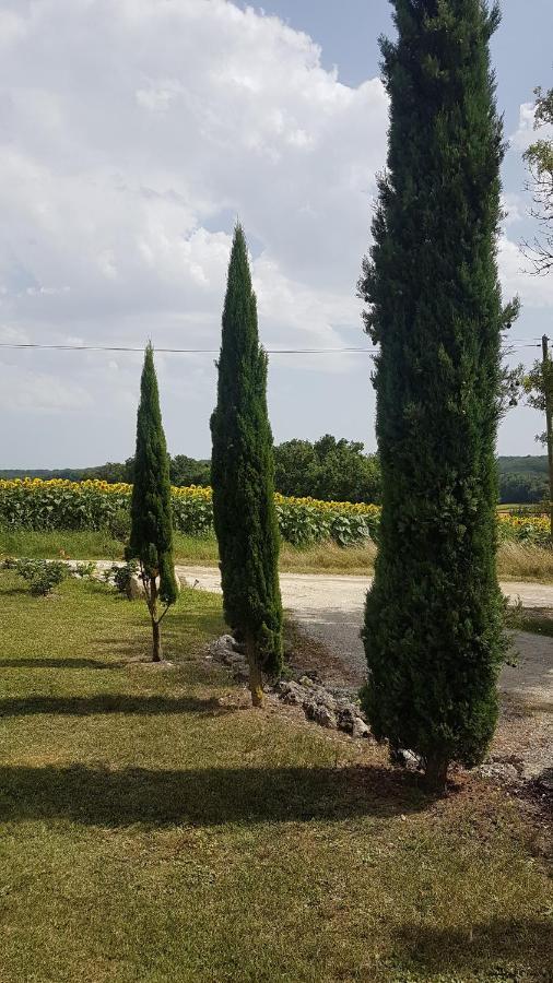Charmant Logement A La Campagne Gazaupouy Buitenkant foto